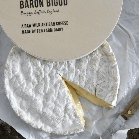 Baron Bigod